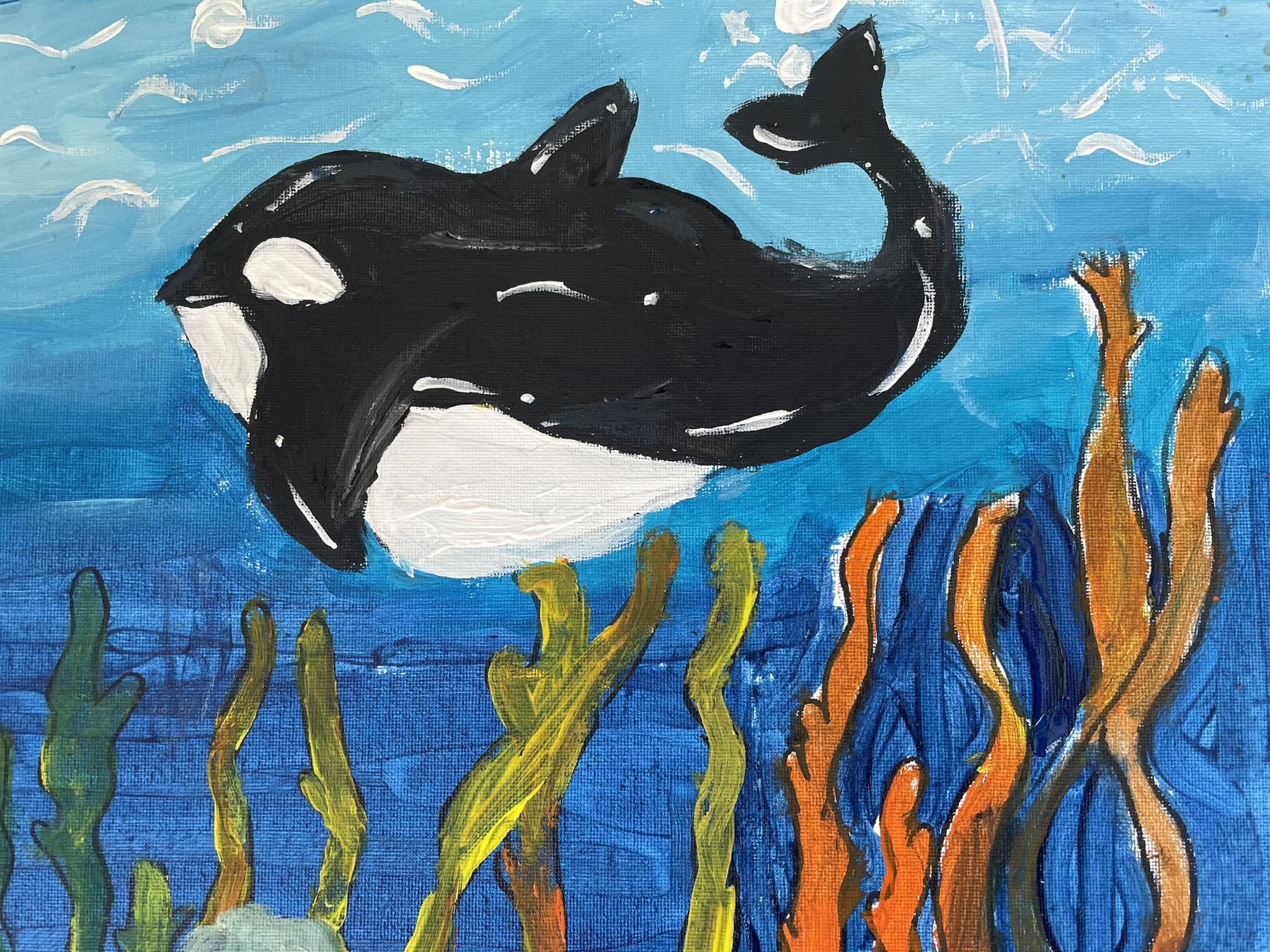 Orca